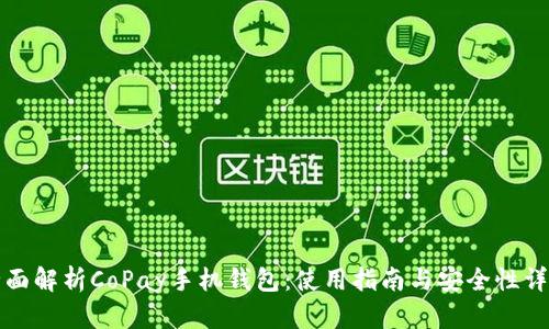 全面解析CoPay手机钱包：使用指南与安全性详解