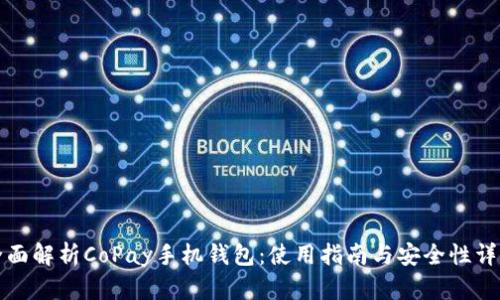 全面解析CoPay手机钱包：使用指南与安全性详解
