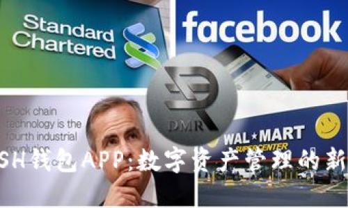 KCASH钱包APP：数字资产管理的新选择