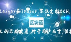   支持BCH分叉钱包：如何选择与使用 /  guanjianci