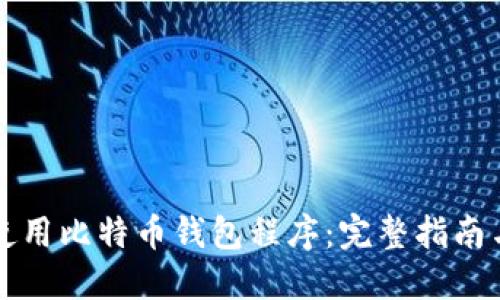 如何选择和使用比特币钱包程序：完整指南与安全性考量