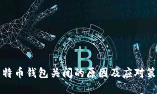 比特币钱包关闭的原因及应对策略