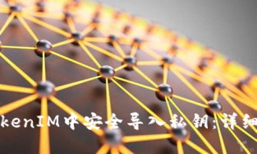如何在TokenIM中安全导入私钥：详细操作指南