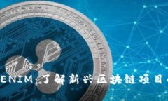 GTTOKEN与TOKENIM：了解新兴区块链项目的重要性与差