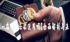 Tokenim在中国还能使用吗？全面解析与未来展望
