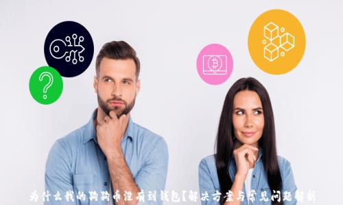
为什么我的狗狗币没有到钱包？解决方案与常见问题解析