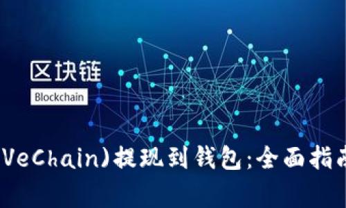 如何将唯链(VeChain)提现到钱包：全面指南与注意事项