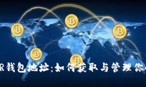 鱼池XMR钱包地址：如何获取与管理你的隐私币