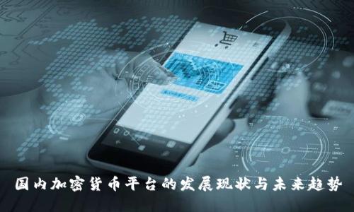 国内加密货币平台的发展现状与未来趋势