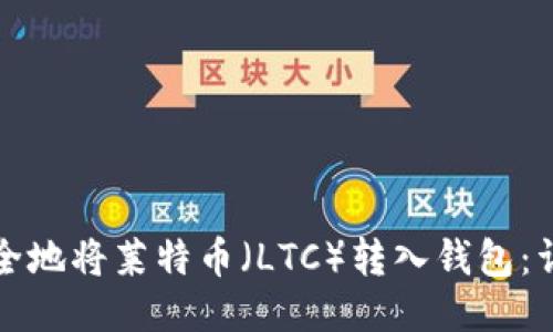 如何安全地将莱特币（LTC）转入钱包：详细指南