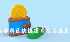 Tokenim：全面解析区块链项目及其在天眼查中的应