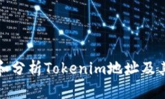 如何查看和分析Tokenim地址及其相关信息