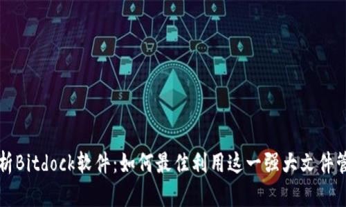 深度解析Bitdock软件：如何最佳利用这一强大文件管理工具
