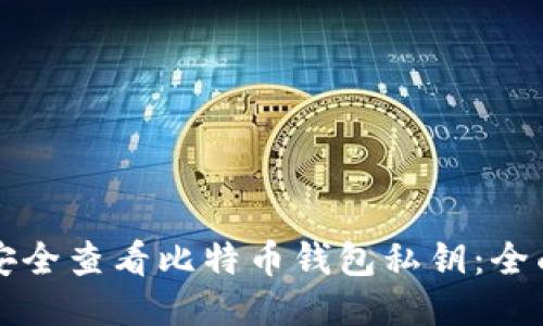如何安全查看比特币钱包私钥：全面指南