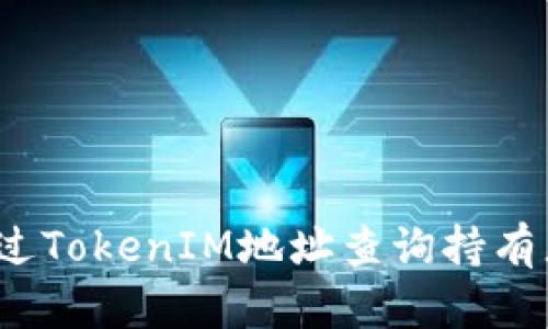 如何通过TokenIM地址查询持有者身份?