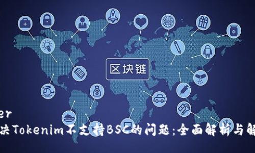 _header
如何解决Tokenim不支持BSC的问题：全面解析与解决方案