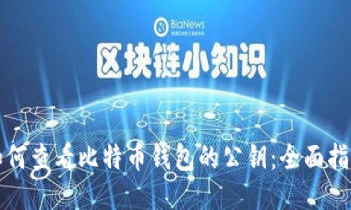 如何查看比特币钱包的公钥：全面指南
