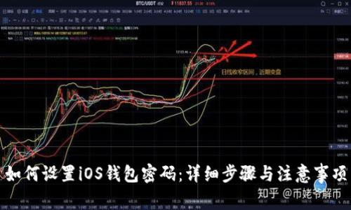如何设置iOS钱包密码：详细步骤与注意事项