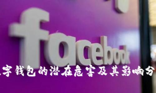数字钱包的潜在危害及其影响分析
