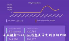 全面解析Tokenim钱包是否支持主链网络