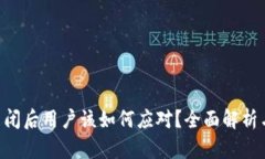 Tokenim关闭后用户该如何应对？全面解析与应对策