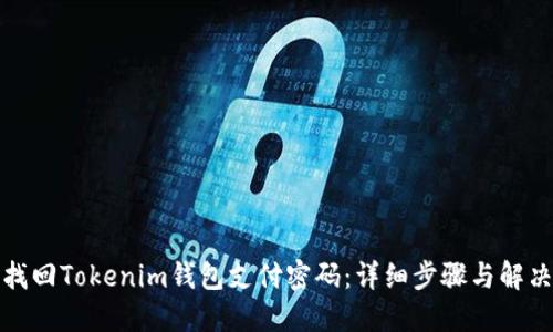 如何找回Tokenim钱包支付密码：详细步骤与解决方案