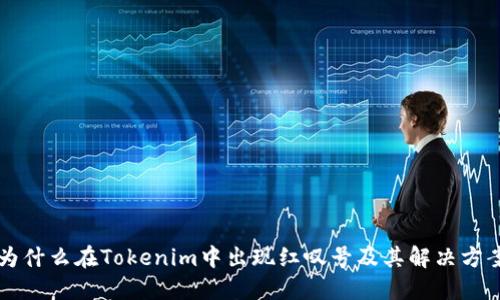 为什么在Tokenim中出现红叹号及其解决方案