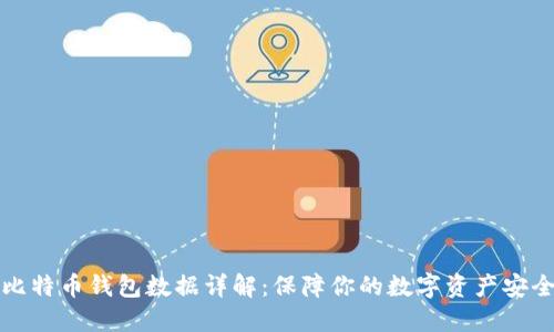 比特币钱包数据详解：保障你的数字资产安全