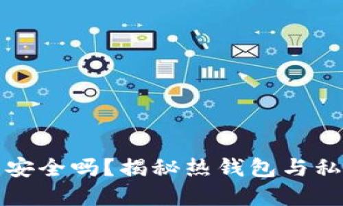 : 热钱包安全吗？揭秘热钱包与私钥的关系