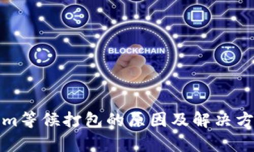 Tokenim等候打包的原因及解决方案分析