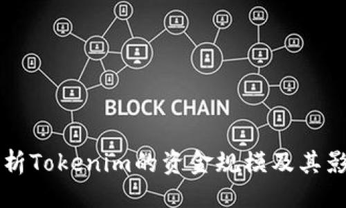 生效的
深入分析Tokenim的资金规模及其影响因素