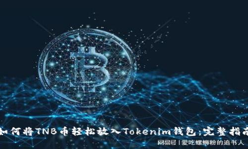 如何将TNB币轻松放入Tokenim钱包：完整指南