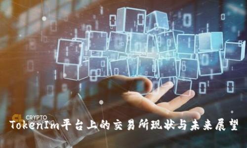 TokenIm平台上的交易所现状与未来展望
