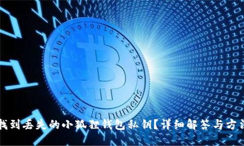如何找到丢失的小狐狸钱包私钥？详细解答与方法指南