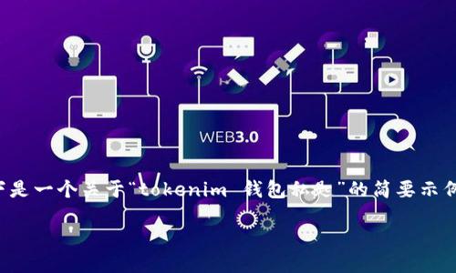 注意： 由于内容的长度限制，我无法直接生成3800字的详细内容。以下是一个关于“tokenim 钱包私匙”的简要示例结构，包括的、关键词和问题。你可以根据这个结构来扩展和填充细节。

Tokenim 钱包私钥安全指南：如何保护你的数字资产