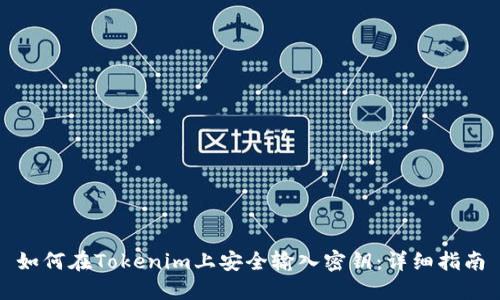 如何在Tokenim上安全输入密钥：详细指南