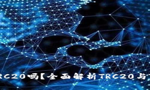 Tokenim支持TRC20吗？全面解析TRC20与Tokenim的整合