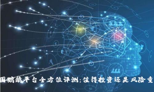 币圈鹦鹉平台全方位评测：值得投资还是风险重重？