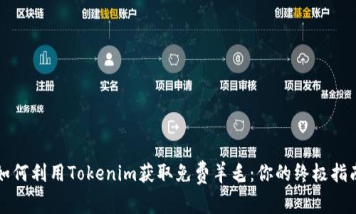 如何利用Tokenim获取免费羊毛：你的终极指南