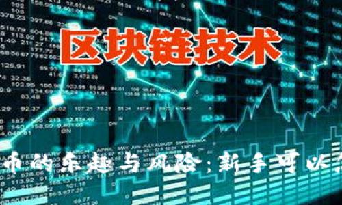 加密货币的乐趣与风险：新手可以怎么玩？