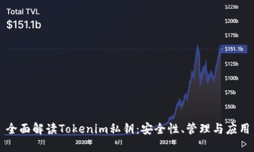 全面解读Tokenim私钥：安全性、管理与应用