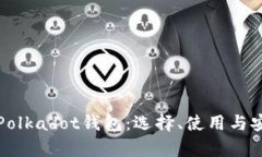 全面解析Polkadot钱包：选择、使用与安全性指南