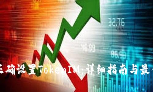 如何正确设置TokenIM：详细指南与最佳实践
