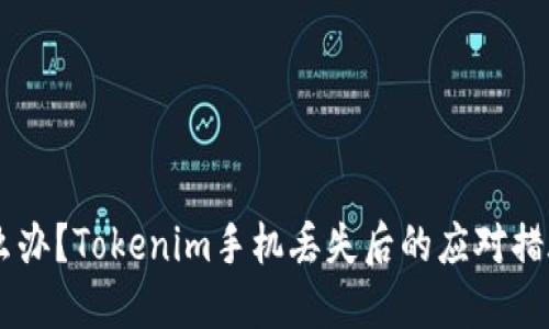 手机丢了怎么办？Tokenim手机丢失后的应对措施与安全指南