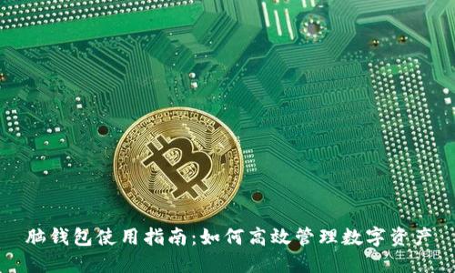 脑钱包使用指南：如何高效管理数字资产