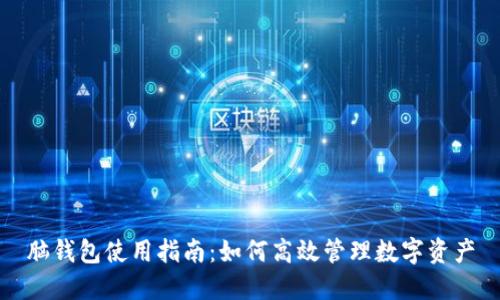 脑钱包使用指南：如何高效管理数字资产
