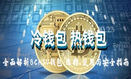 全面解析BCHSV钱包：选择、使用与安全指南