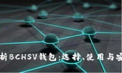 全面解析BCHSV钱包：选择、使用与安全指南