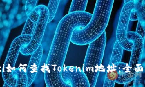 iaoti如何查找Tokenim地址：全面指南