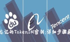 如何找回忘记的TokenIM密钥：详细步骤和解决方案